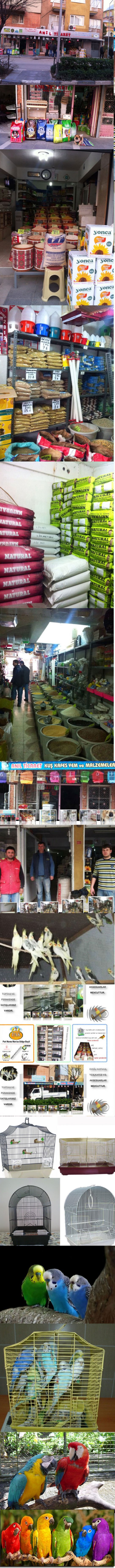 Anıl Tıcaret,manisada Kuş Yemi, Kuş Aksesuarları, Muhabbet Kuşu Satışı