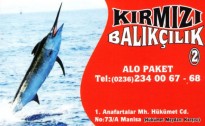 BALIK PİŞİRİCİ